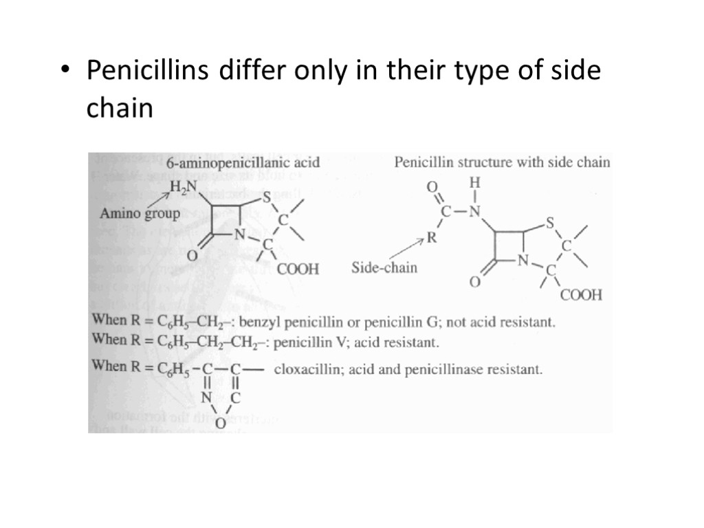 Penicillins differ only in their type of side chain